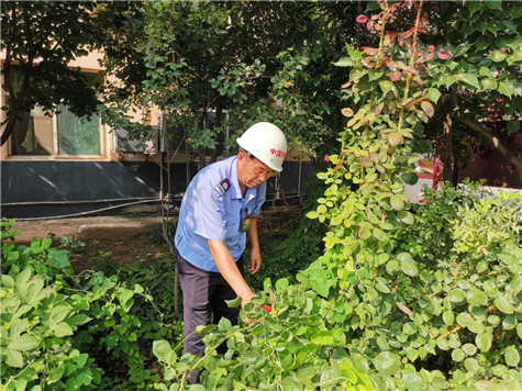 河南偉志模板來保軍——美麗的花園，來自辛勤的勞動