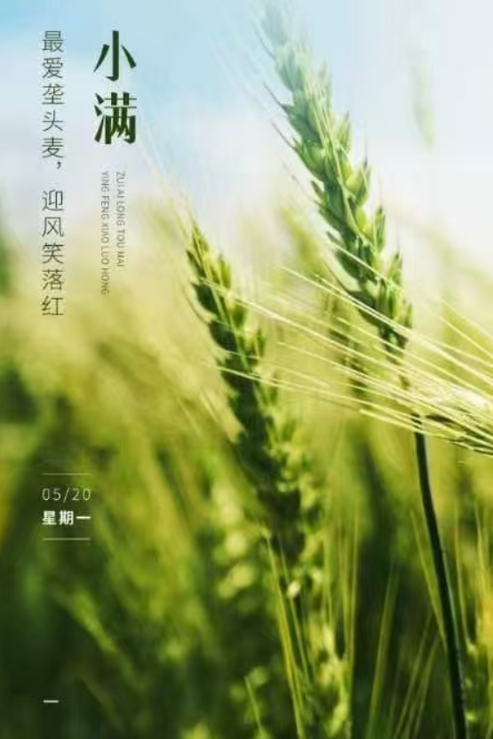 小滿即安，未來可期！